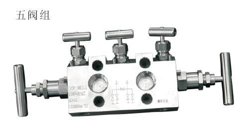 1151型一体化五阀组用于一体化保护箱